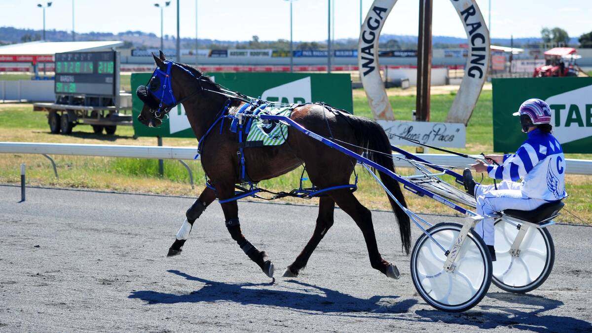Ellen Louise, pictured after winning at Wagga last month, was the first leg of a double for John Cooper and Blake Jones at Junee on Friday.