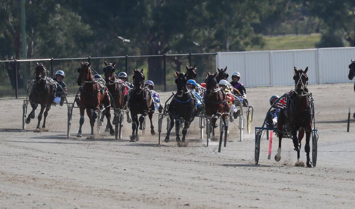 Whereyabinboppin clears out from his rivals to down Ideal Fantasy by 32.7 metres in the first round of the Regional Championships heats at Riverina Paceway last week. 