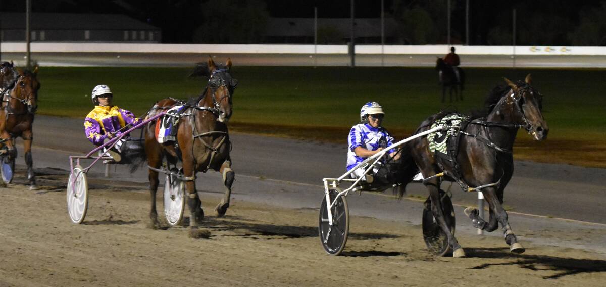 REMARKABLE WIN: The Tiger Army overcome a horror start to take out the MIA Breeders Plate in brilliant fashion at Leeton on Tuesday night. Picture: Courtney Rees