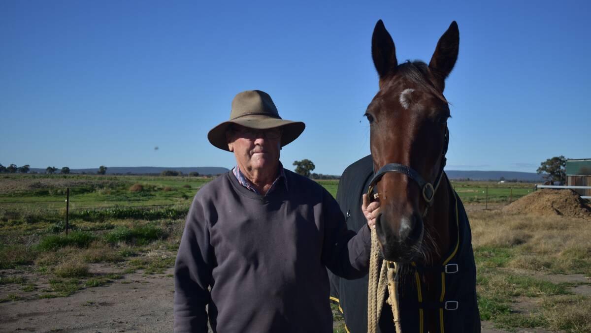 FORM MARE: Owner and breeder Robbie Sullivan is hoping Cee Cee Ambro can time her run right again in the Regional Championships final on Friday. Picture: Courtney Rees