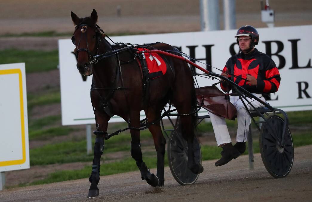 Sporty Dancer heads to Menangle on Saturday.