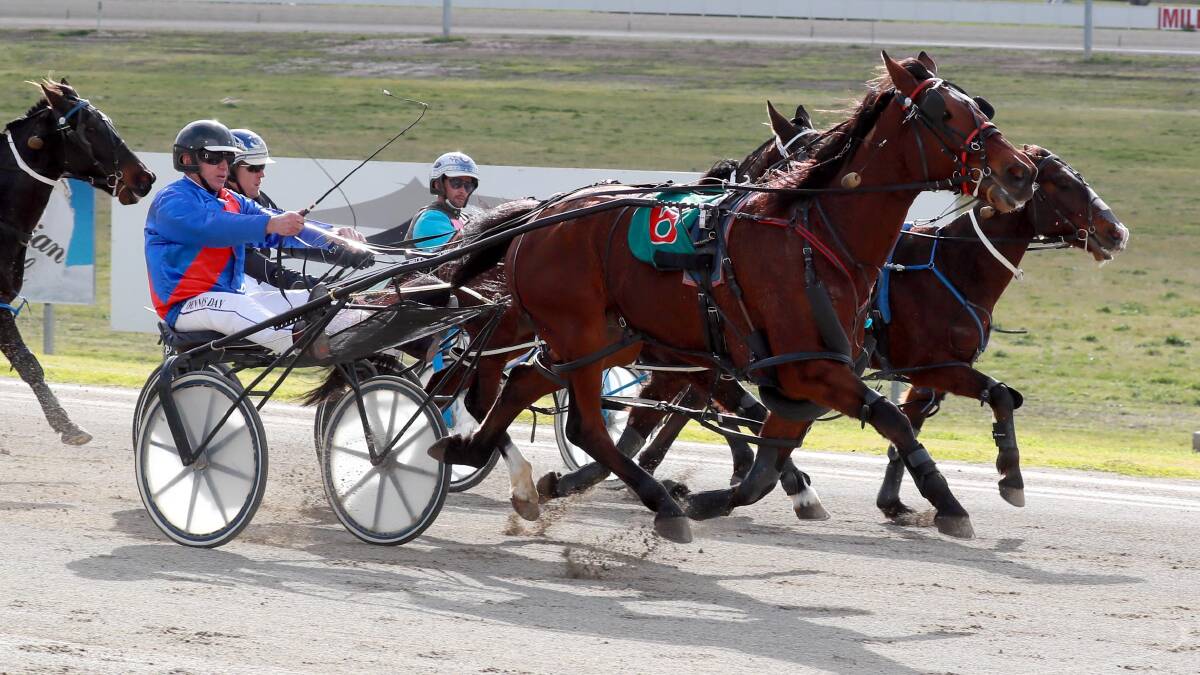 Dennis Day drives Neils Reactor to victory at Riverina Paceway on Friday.