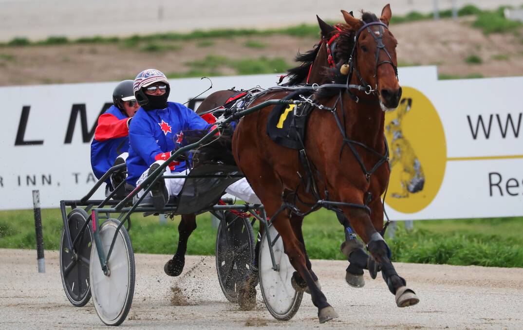 Adam Richardson guides Master Of Illusion to victory at Riverina Paceway on Friday.