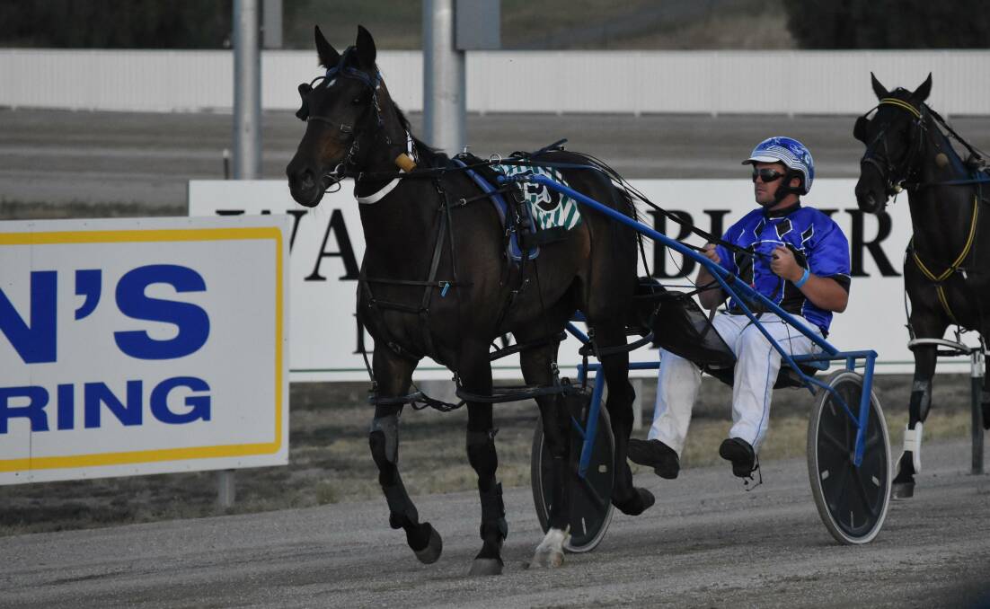 TIMELY RETURN: Last start group three winner Adira is back on track as racing returns to Riverina Paceway on Saturday with a bumper 10-race card. Picture: Courtney Rees