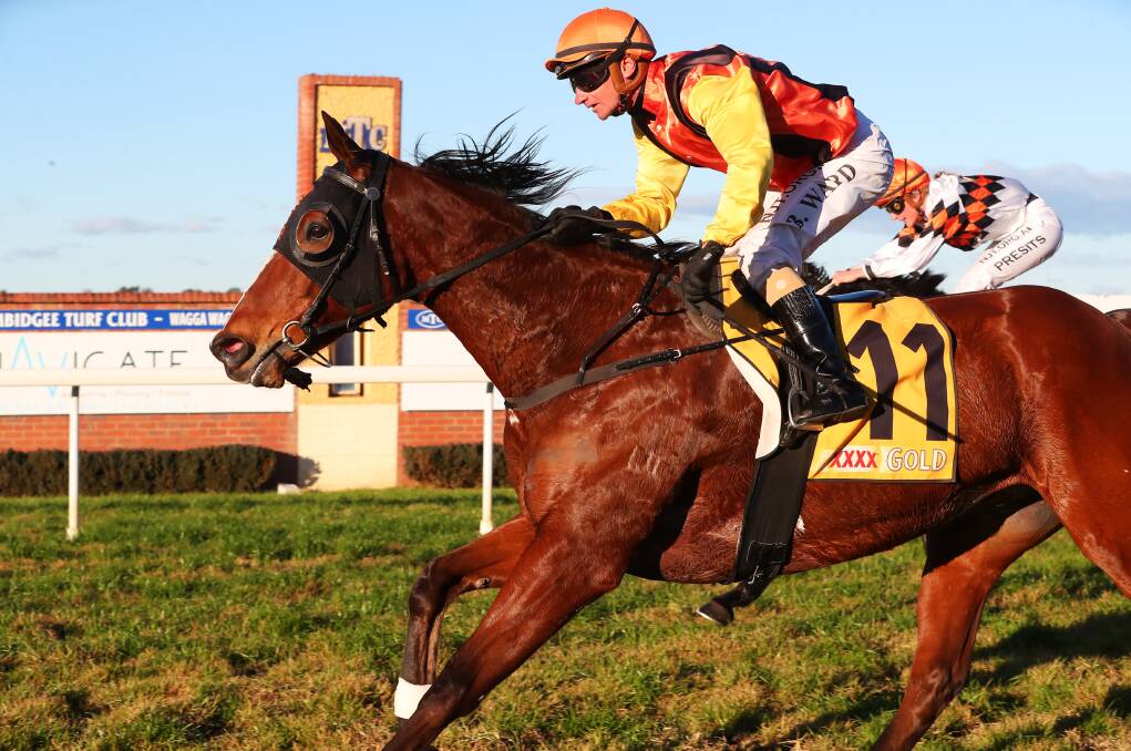 Foxlike stormed to victory for Kerry Weir and Brendan Ward at Wagga earlier this month.