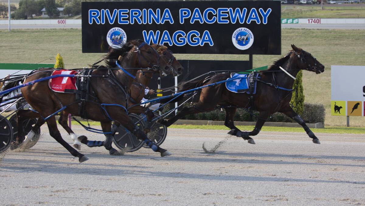 QUICKEST WAY HOME: Six Again takes out the Menangle Country Series heat at Wagga on Friday night. Picture: Madeline Begley