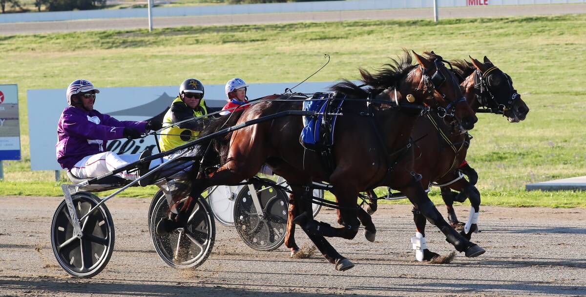 Adam Richardson is chasing more success with Sasha in the NSW Breeders Challenge Regional heats.