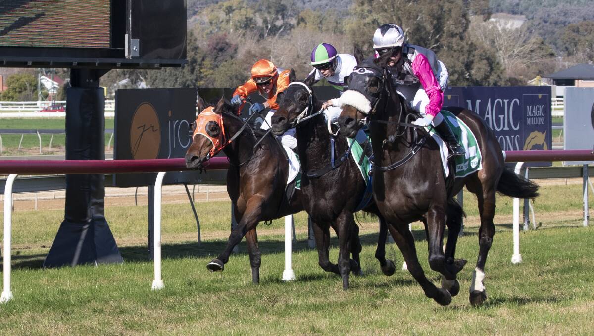 TOO STRONG: Vintage Diesel and jockey Hannah Edgley take out the Riverina Cup Prelude before the remainder of the Murrumbidgee Turf Club meeting was called off due to safety concerns on Monday. Picture: Madeline Begley