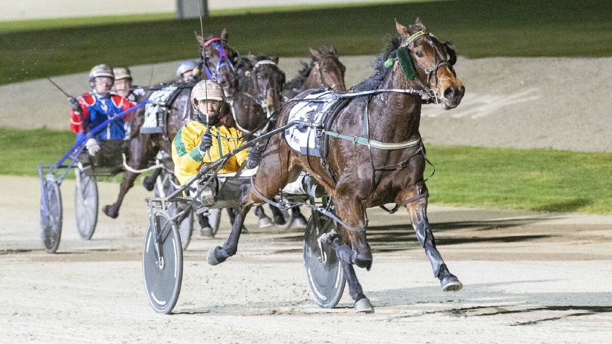 SPECIAL FILLY: Maajida is out to add a Victoria Oaks crown to her impressive resume on Saturday. Picture: HRV Trots Media, Stuart McCormick.