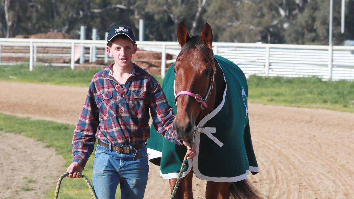 READY TO ROLL: Stablehand Aaron Day with Menames Needy ahead of his racetrack return for new trainer Rod Woodhouse at Riverina Paceway on Friday. Picture: Les Smith