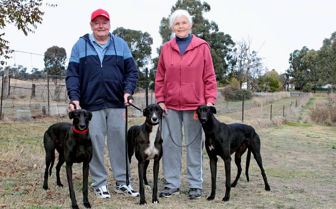 Jack and Lorraine Roy with Gunshot Ridge, Charlie’s Chance and Barbie’s Chance ahead of this year's Wagga Gold Cup.