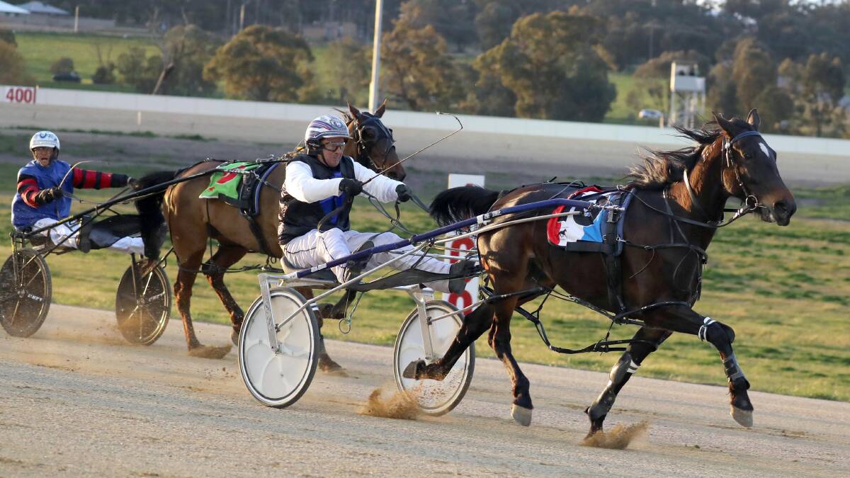 AWAY SHE GOES: Shane Hallcroft drives Machkori to the line as part of a winning double at Riverina Paceway on Saturday night. Picture: Les Smith