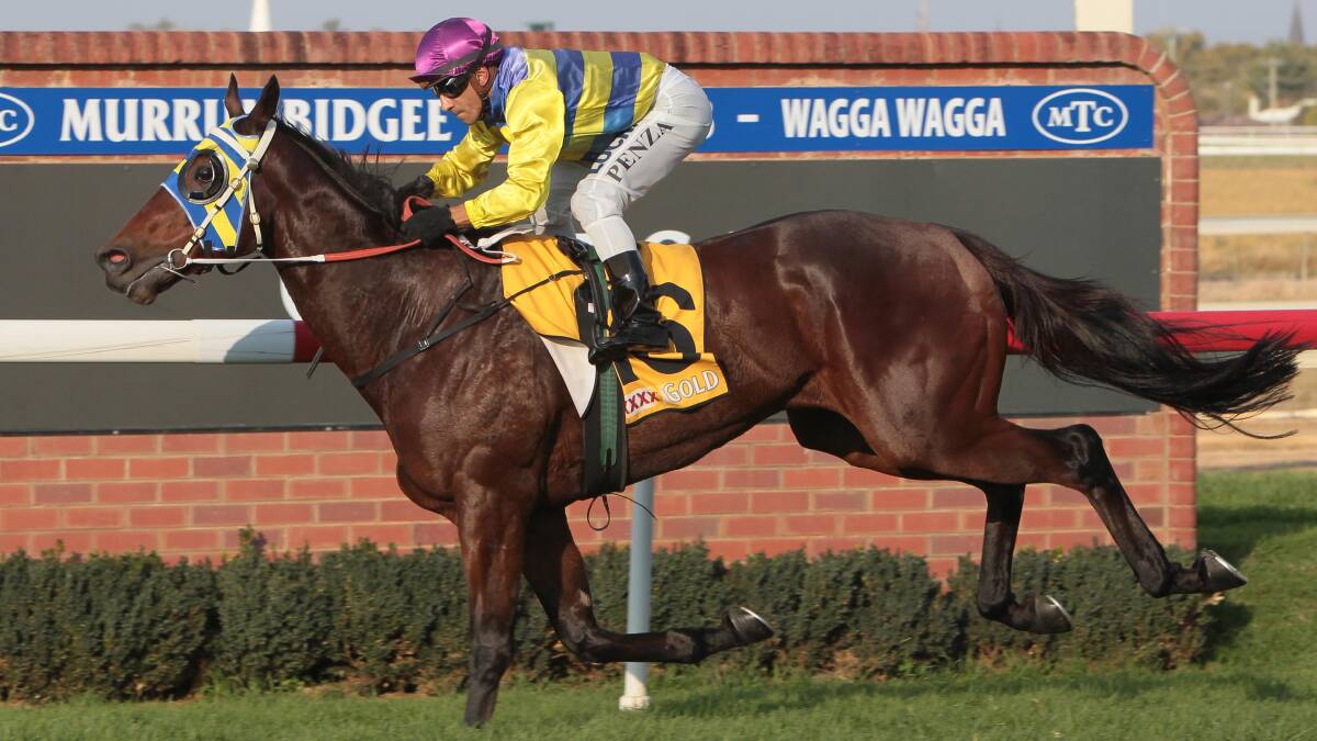 COMEBACK TRAIL: Count Dekroner, pictured winning the Town Plate Prelude in 2016, will have his first race in 16 months at Murrumbidgee Turf Club on Tuesday.