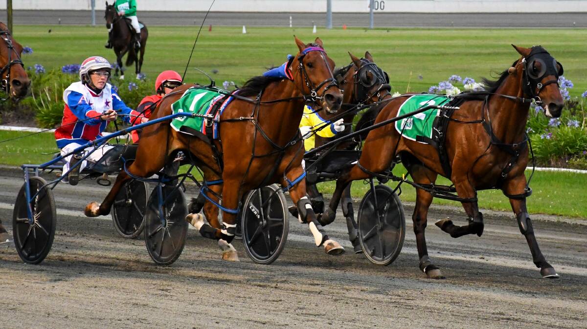 Bundoran races home to win an Inter Dominion heat for Bathurst trainer-driver Amanda Turnbull on Sunday. Part-owned by Leeton's Michael Boots the win qualified the four-year-old for the $500,000 final on Saturday.