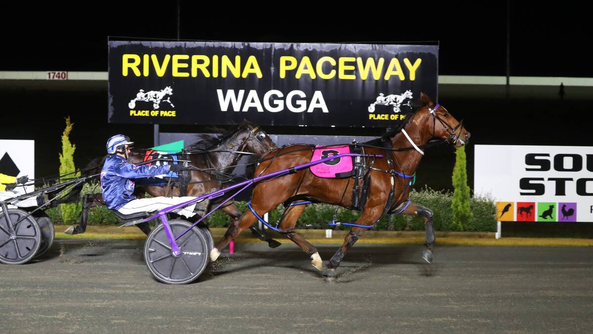 Just Ralph was declared a non-runner in the Menangle Country Series final at Bathurst last week.