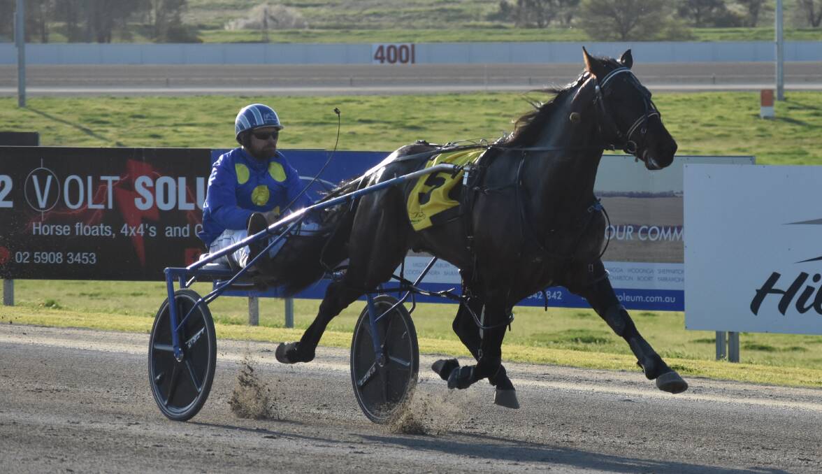 SEASON OVER: Unbeaten two-year-old Mister Rea has been ruled of out the NSW Breeders Challenge Series with a hoof injury.. Picture: Courtney Rees