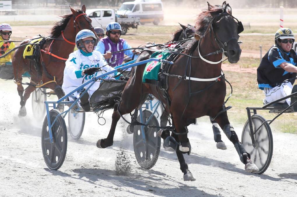 WIDE DRAW: Leading contender Western Sonador has drawn barrier eight in the first of five heat of the Regional Championships at Wagga on Friday. Picture: Les Smith