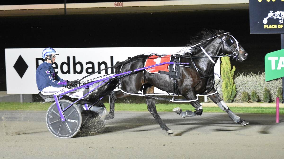 EYES ON THE PRIZE: Vicbred Super Series final for entires and geldings on Wednesday night.
