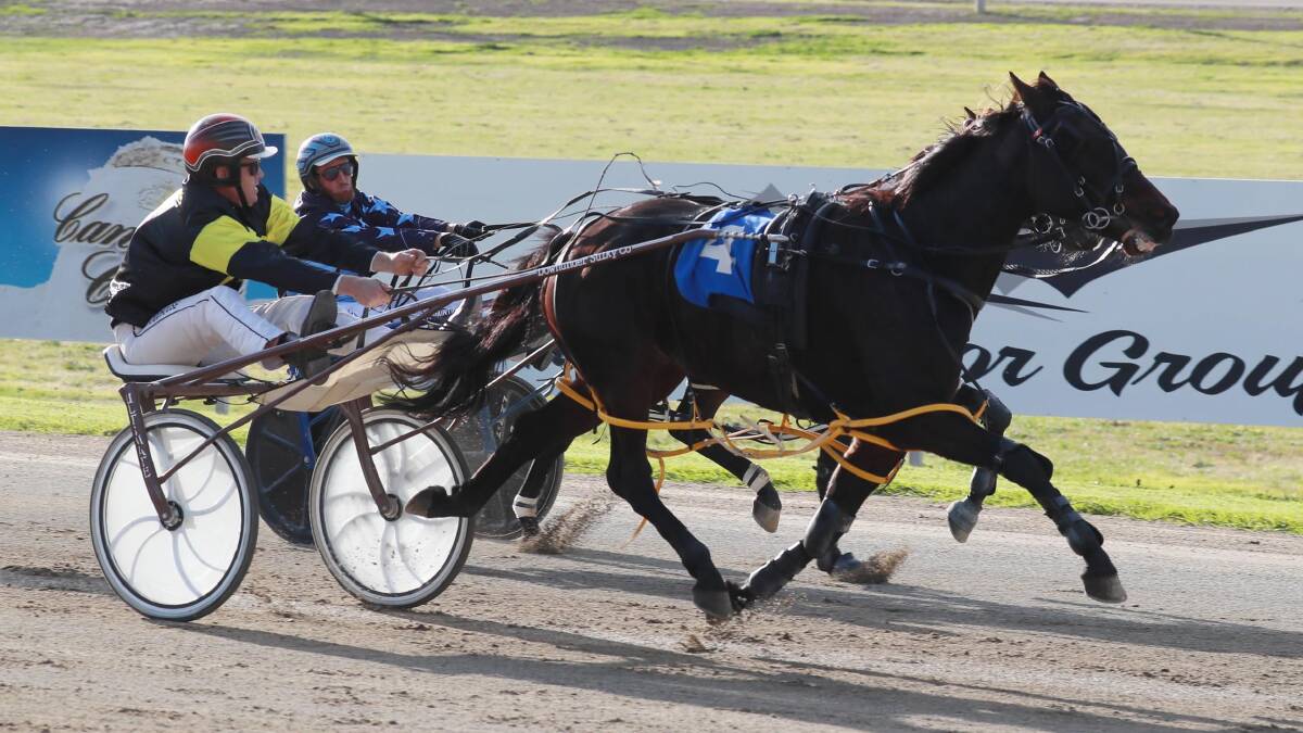 We Salute You has another chance to qualify for a $30,000 feature at Menangle after the Regional Championships runner-up finished third in last week's heats.
