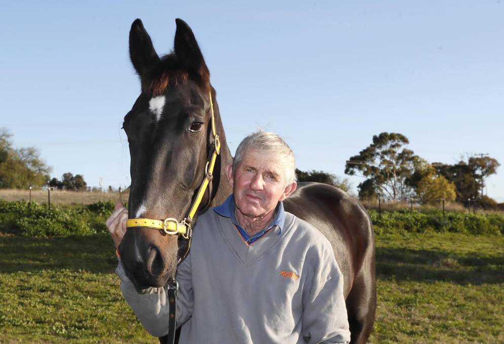TOP DRAW: Defiant will start from barrier one for Junee trainer Trevor White in the Regional Championships Riverina Final at Riverina Paceway on Friday. Picture: Les Smith
