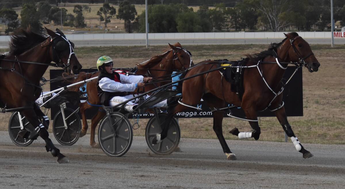 Blake Micallef elected to head to Wagga on Sunday and combined to win with Ultimate Risk.