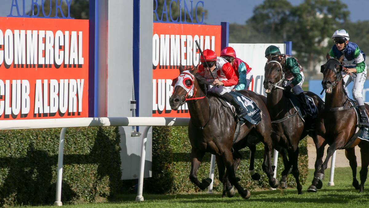 FAMILY FIRST: Brodie Loy rode Ilovesaki to victory in the Albury Mile for father and trainer, Norm, as part of a treble to kick start the canrival on Thursday. Picture: The Border Mail