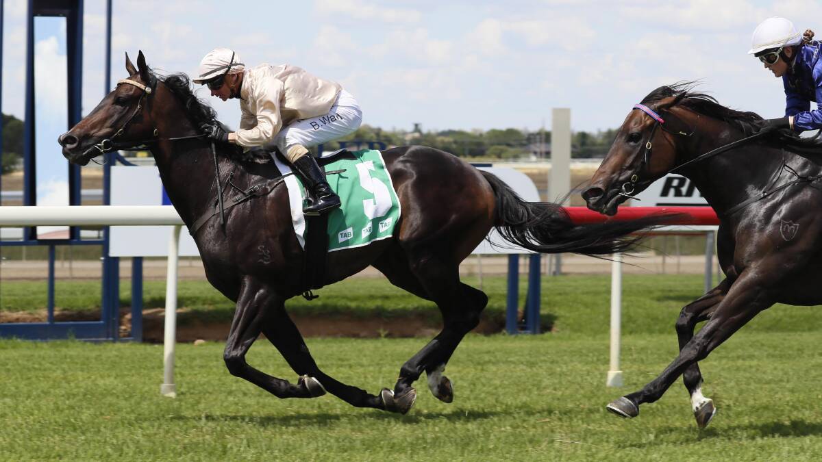 Blitzar is heading to the Country Championship Wild Card at Scone following his win at Cowra on Monday.