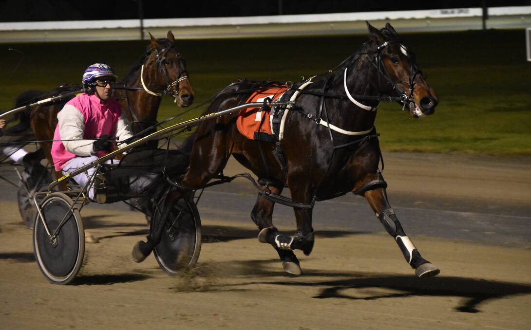 BREAKTHROUGH: Shane Hallcroft steers Whatta Sticky Beak to his second win at start 53 at Leeton on Tuesday night to hand Whitton trainer Noel Maxwell his first win in over nine years. Picture: Courtney Rees