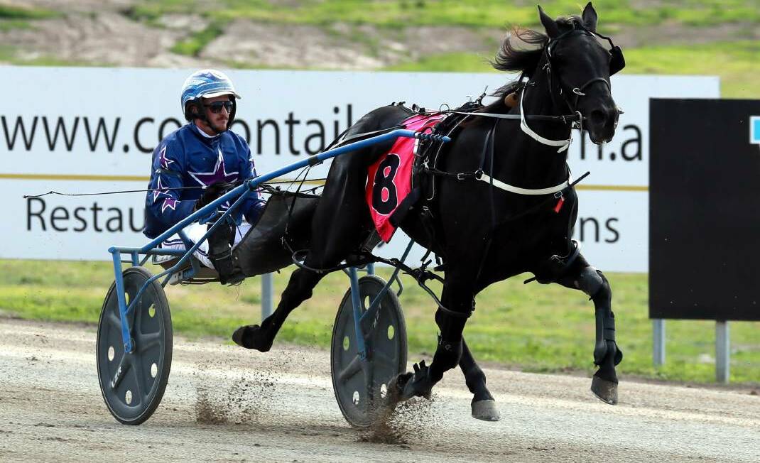 Western Sonador returned to the track with a win at Shepparton last week.