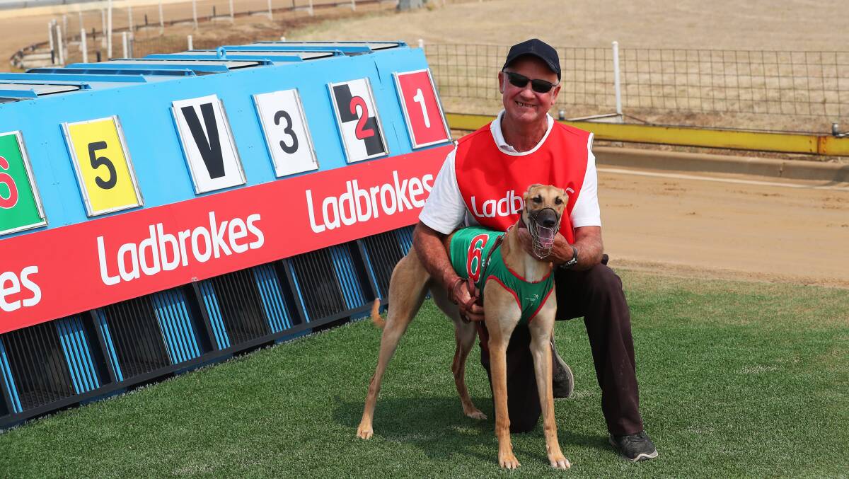 HOT STREAK: Tiggerlong Ginga and Michael Finn looking to make it four wins on the trot in the Ladbrokes Cash Out 1-2 Wins Final at Wagga on Friday. The meeting has been moved forward due to the forecast temperatures.