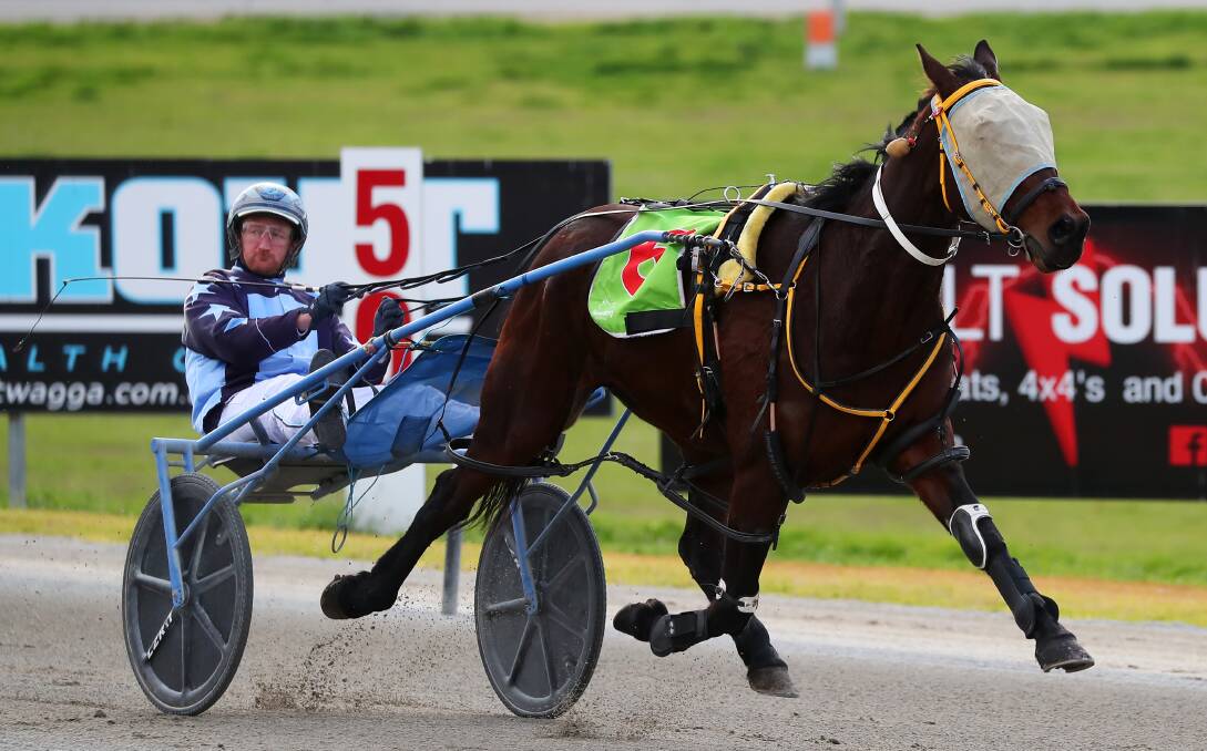 RACING AWAY: Jackson Painting drives Heza Conman to victory for Yenda trainer Dennis Schmetzer at Riverina Paceway. It was part of a winning double for the region's leading reinsman on Friday. Picture: Emma Hillier