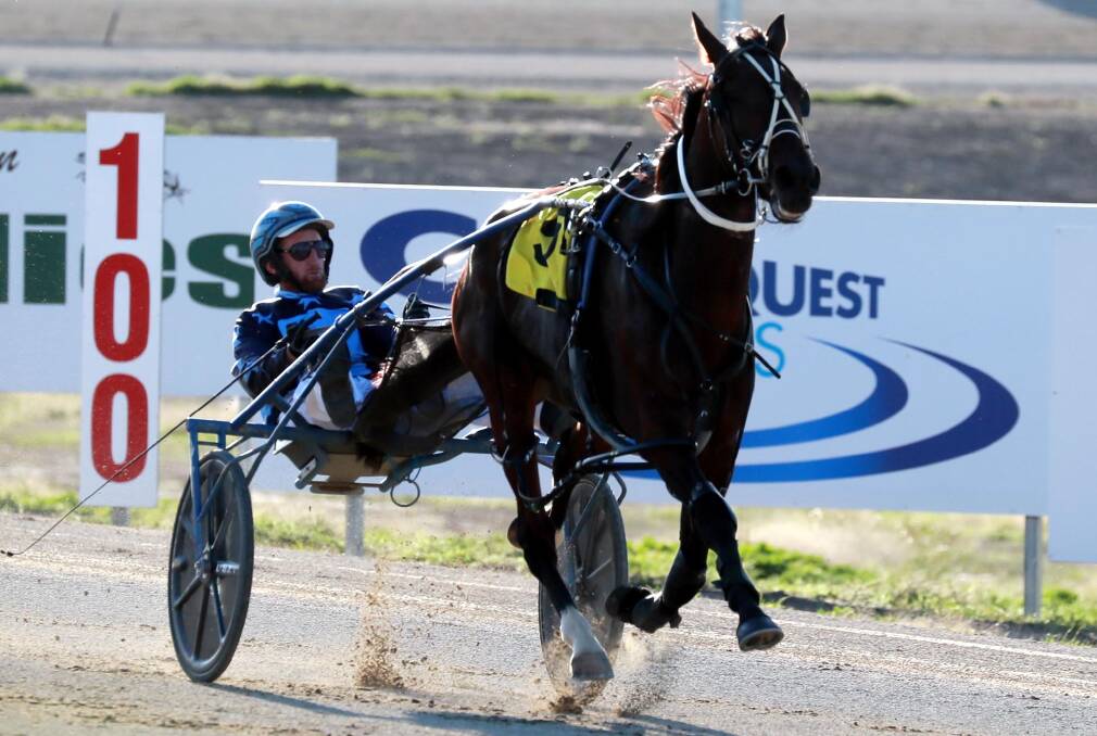 Whereyabinboppin will start from the outside alley in the group three at Menangle on Saturday.