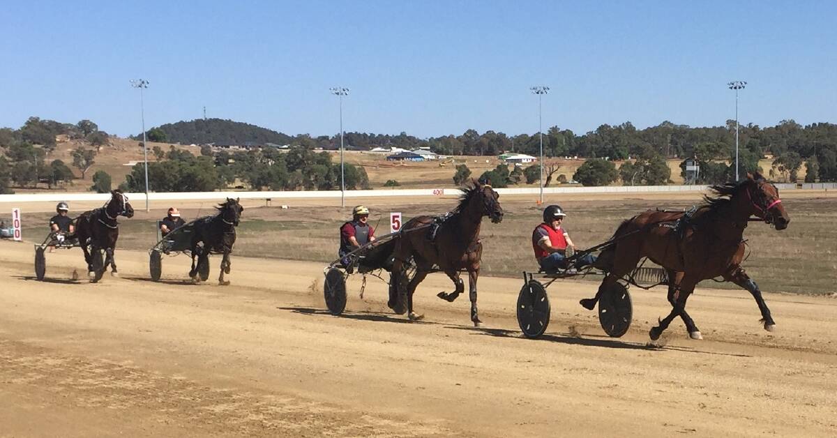 GOOD START: Trainer-driver David Druitt, pictured leading in one of the workouts, was impressed with Wagga's new harness racing track on Wednesday.