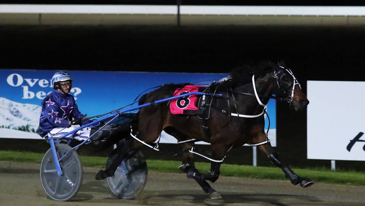 Brooklyns Best is one of the two Ellen Bartley-trained runners who are racing for charity Good Talk in the $100,000 Regional Championships final on Friday.