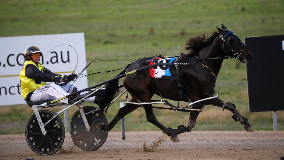 Delightful Jackie on her way to victory at Wagga on Tuesday.