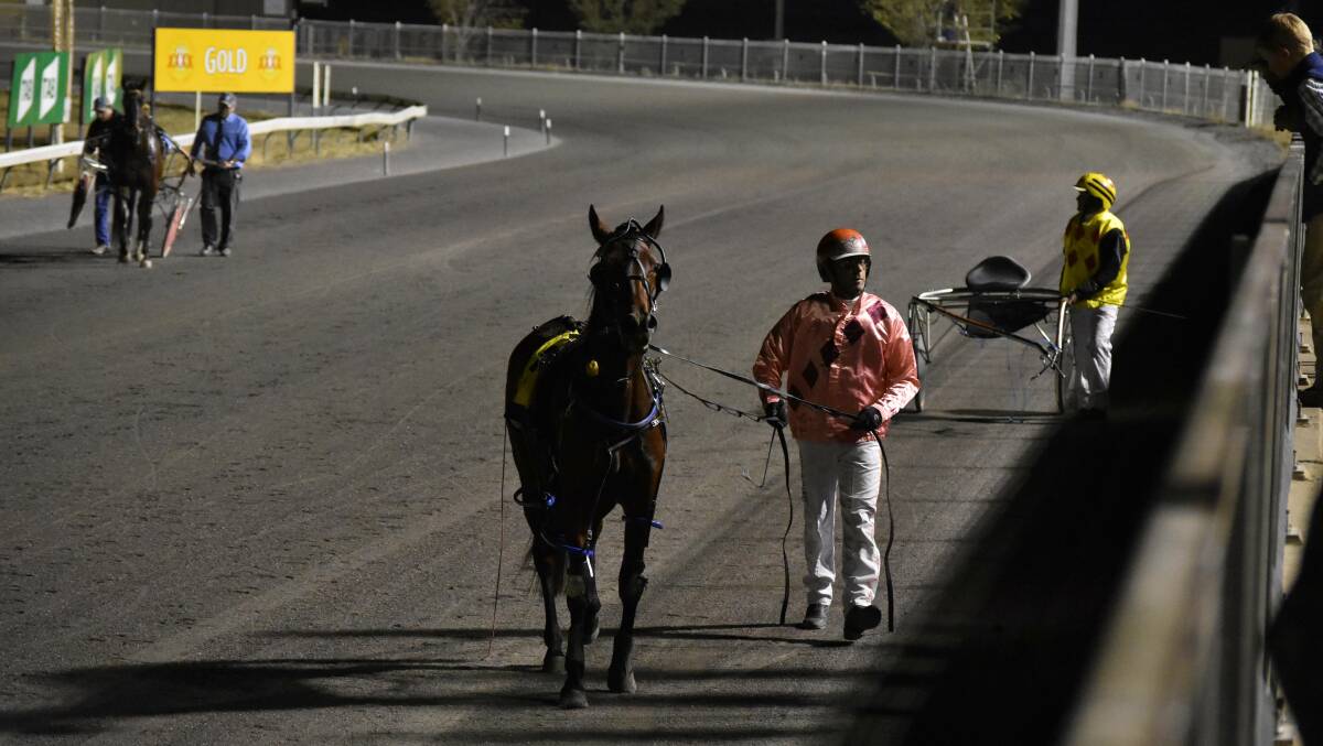 WORSE FOR WEAR: Junee trainer-driver Steven Harris walks Miss Modern Ruby back to the stalls at Wagga after being involved in a four-horse fall at Wagga in May.