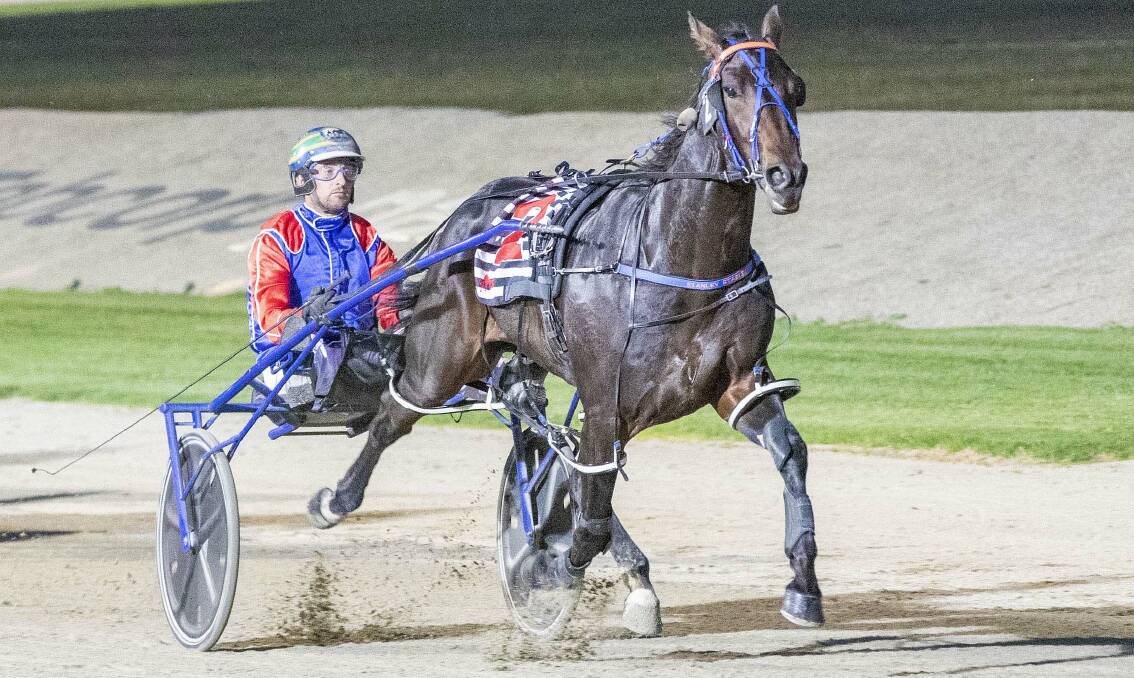 DEFENDING CHAMP: Bar Room Banta is looking to bring up his first win for the season in the NSW Breeders Challenge three-year-old colts and geldings heat at Leeton on Tuesday.