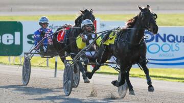 Cameron Hart will take the drive on Speculating, pictured, at Bathurst on Wednesday night after Peter McRae suffered a shoulder injury. Picture by Les Smith