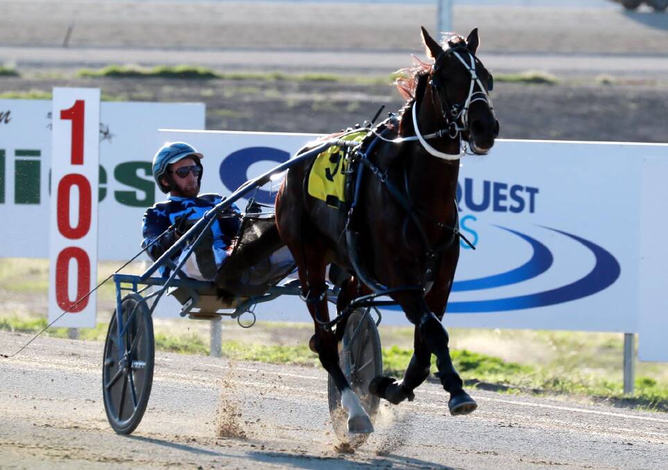 Whereyabinboppin is out to add to his winning streak along with those of trainer David Kennedy and driver Jackson Painting on Friday.