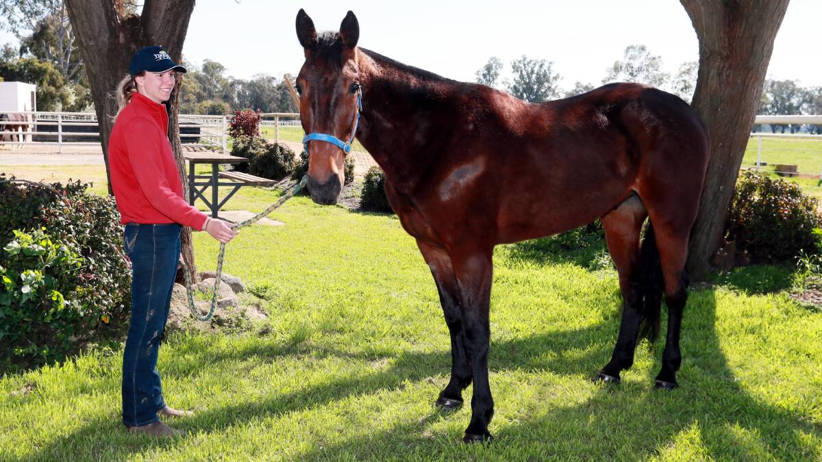 ON DEBUT: Groom Molly Renowden with Bully Bourne ahead of his race debut at Riverina Paceway on Friday. He is the first of former New Zealand Cup winner Mainland Banner to race for Yirribee Pacing Stud. Picture: Les Smith