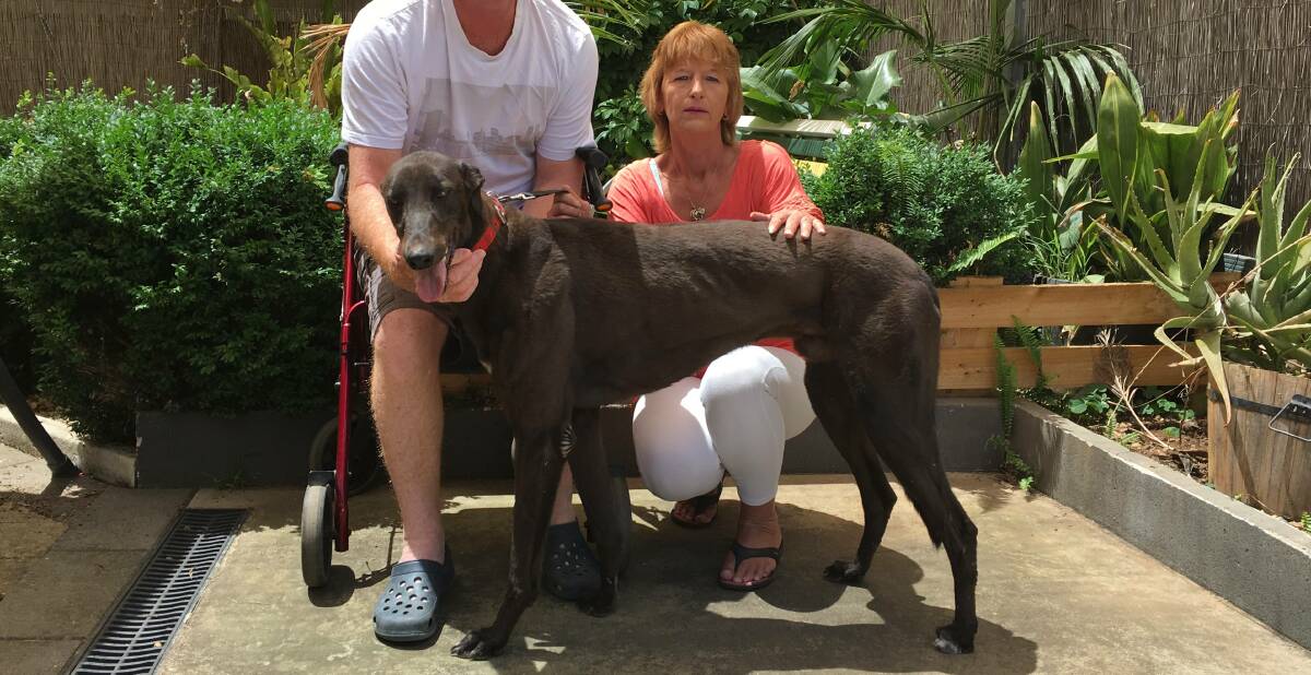 INQUIRY: Tanya Kemp with Better Cruise two months before his untimely death. A Greyhound NSW inquiry disqualified Kemp for four years over the incident. Picture: Courtney Rees