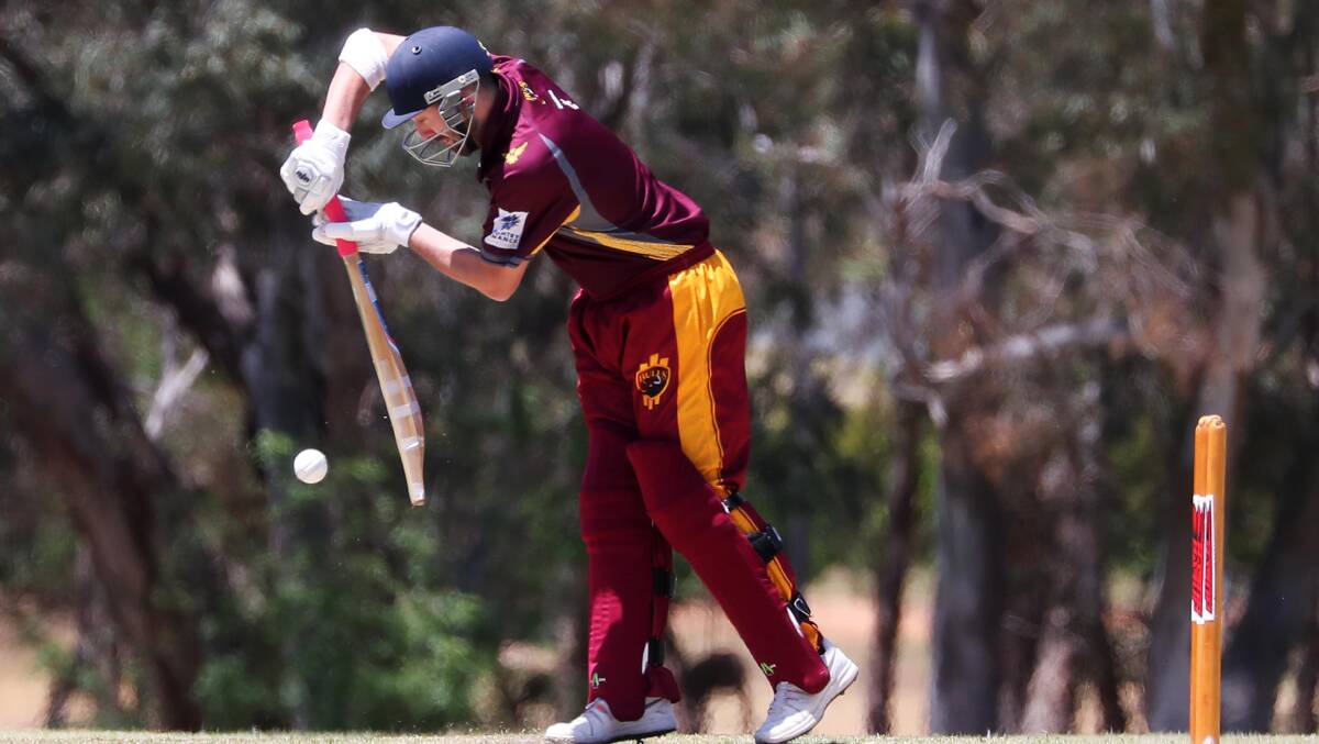 GOOD START: Alex Smeeth believes Lake Albert are well poised after making 9-279 against Kooringal Colts on Saturday. Picture: Emma Hillier