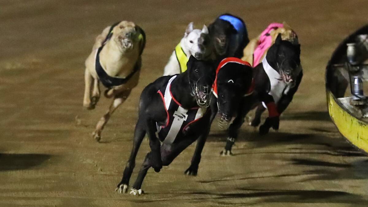Dust Storm rounds up his rivals on Friday night.