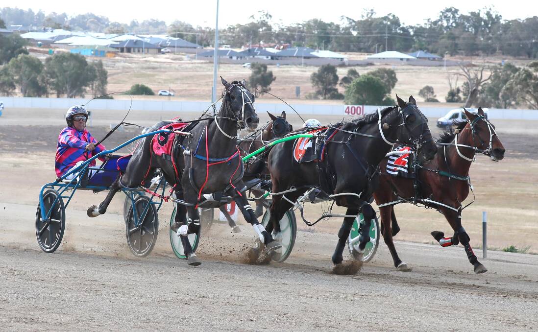 FAST FINISH: The Clock Winder storms past his rivals to win at Riverina Paceway on Saturday. It was the first leg of a double for trainer-driver Shane Hallcroft across the 10 races. Picture: Les Smith