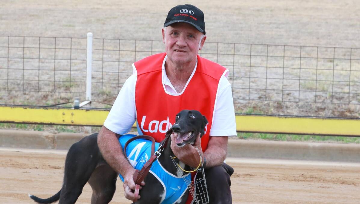 Michael Finn is looking for Tiggerlong Pink to back up her heat success at Wagga on Friday.