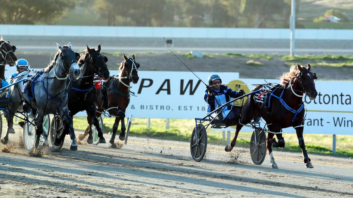 Georgie Martin will line up at Menangle on Saturday night for David Kennedy and Jackson Painting.