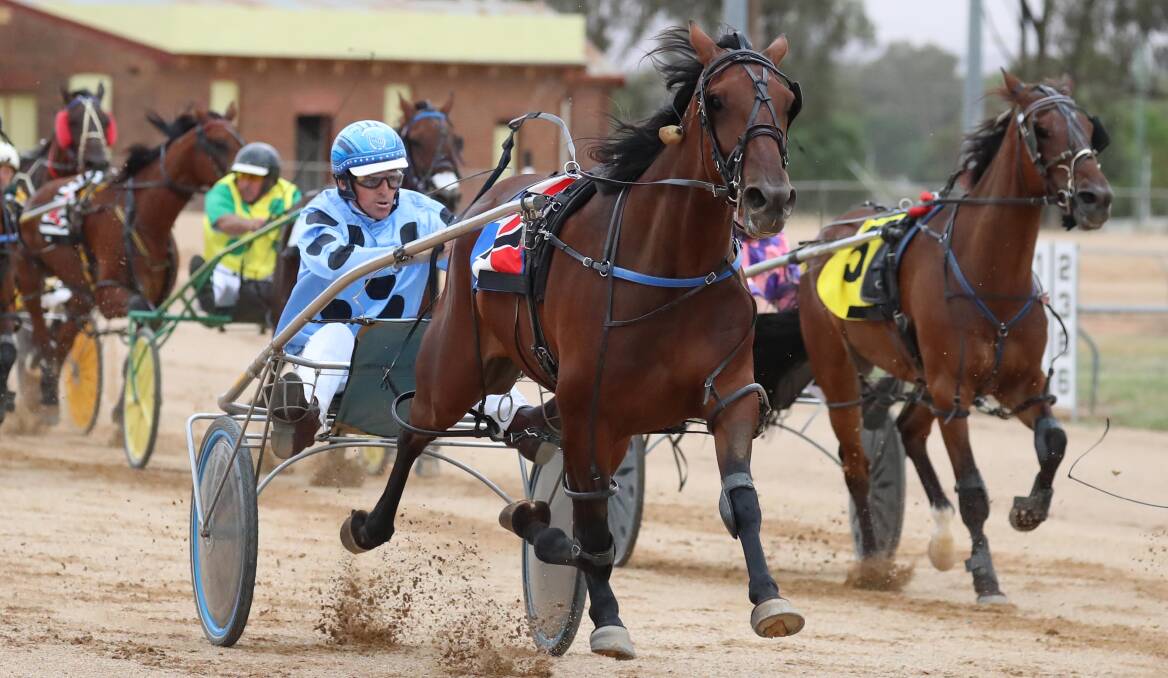 REPEAT AIM: Endless will return to the scene of her last win when she races at Temora on Friday night for Junee trainer Matthew Harris. Picture: Les Smith
