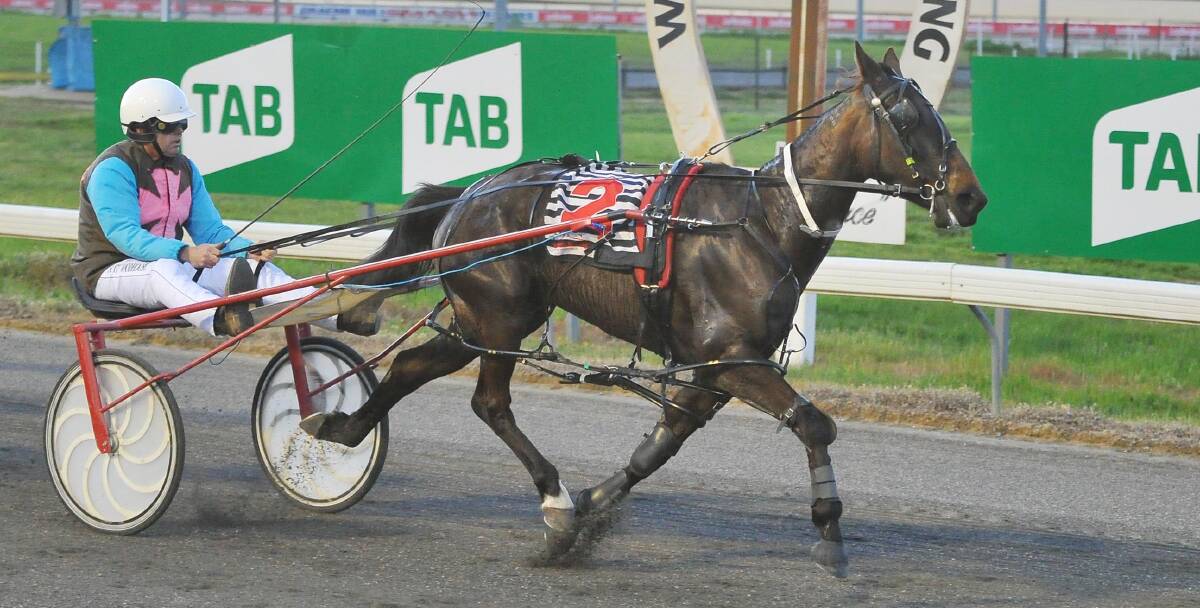 Million Dollar Gem drops back from the group one NSW Breeders Challenge final to race at Wagga on Tuesday night.