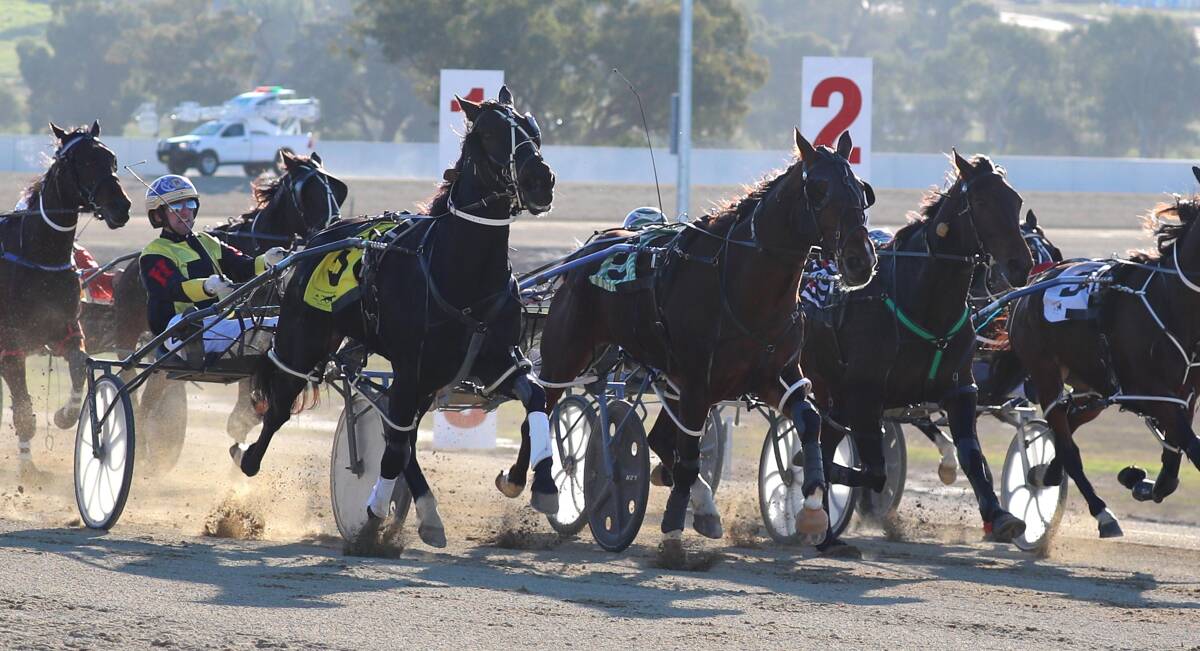 CLOSE CALL: Stirling William, pictured finishing second at Riverina Paceway last Friday, is looking to go one better at Wagga's new track on Sunday. Picture: Les Smith