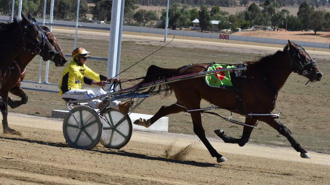 Molly Kelly scored her 20th win at Menangle on Saturday.